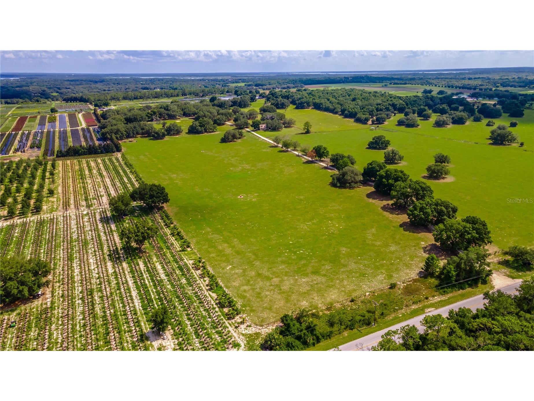 23100 SE Highway 42 Umatilla FL 32784 O6395337 image80