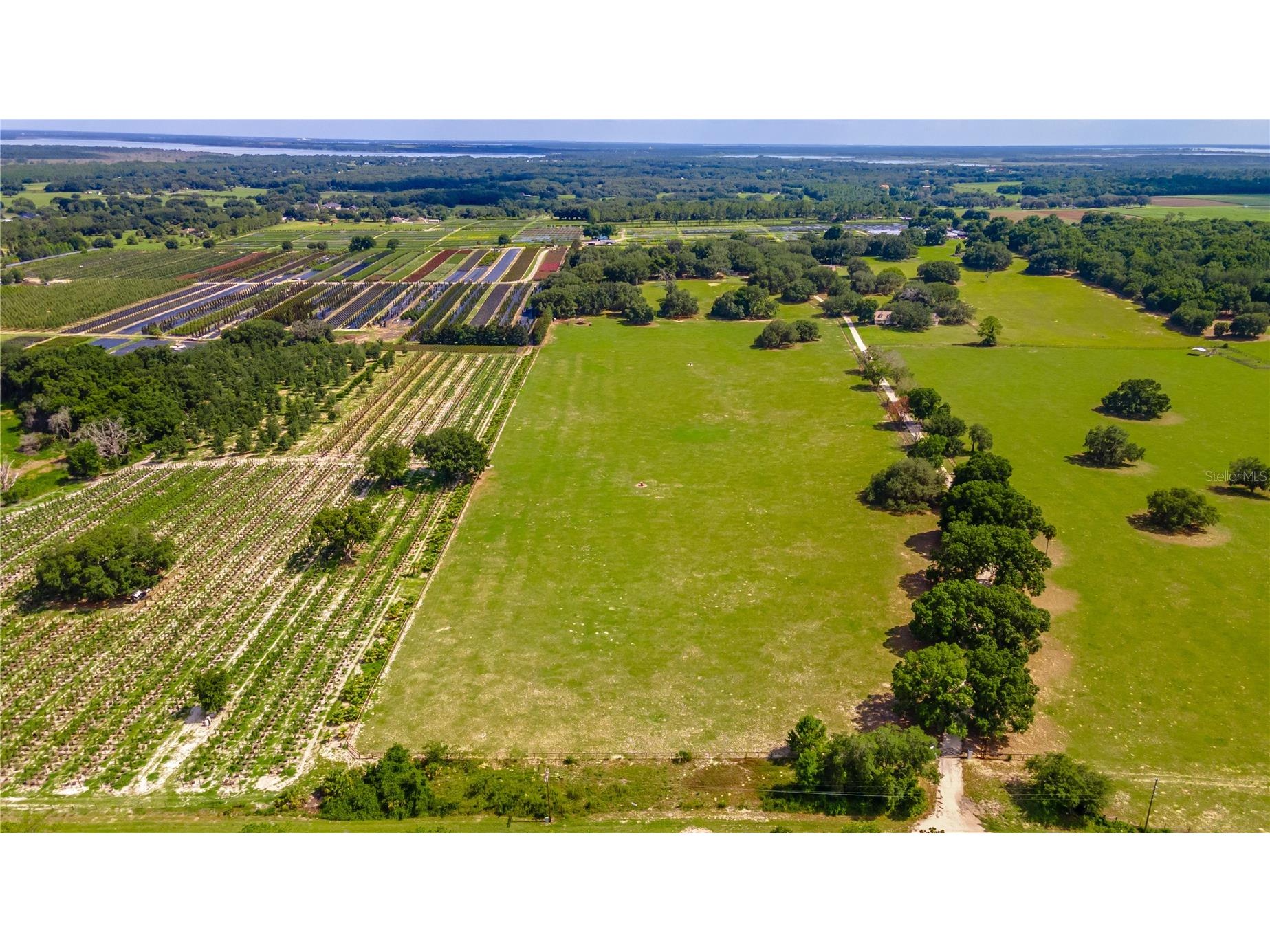 23100 SE Highway 42 Umatilla FL 32784 O6395337 image81