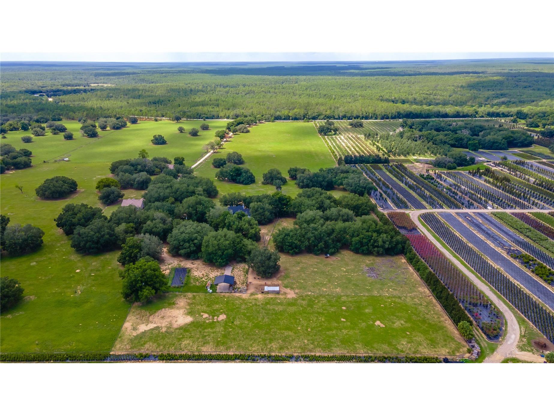 23100 SE Highway 42 Umatilla FL 32784 O6395337 image83