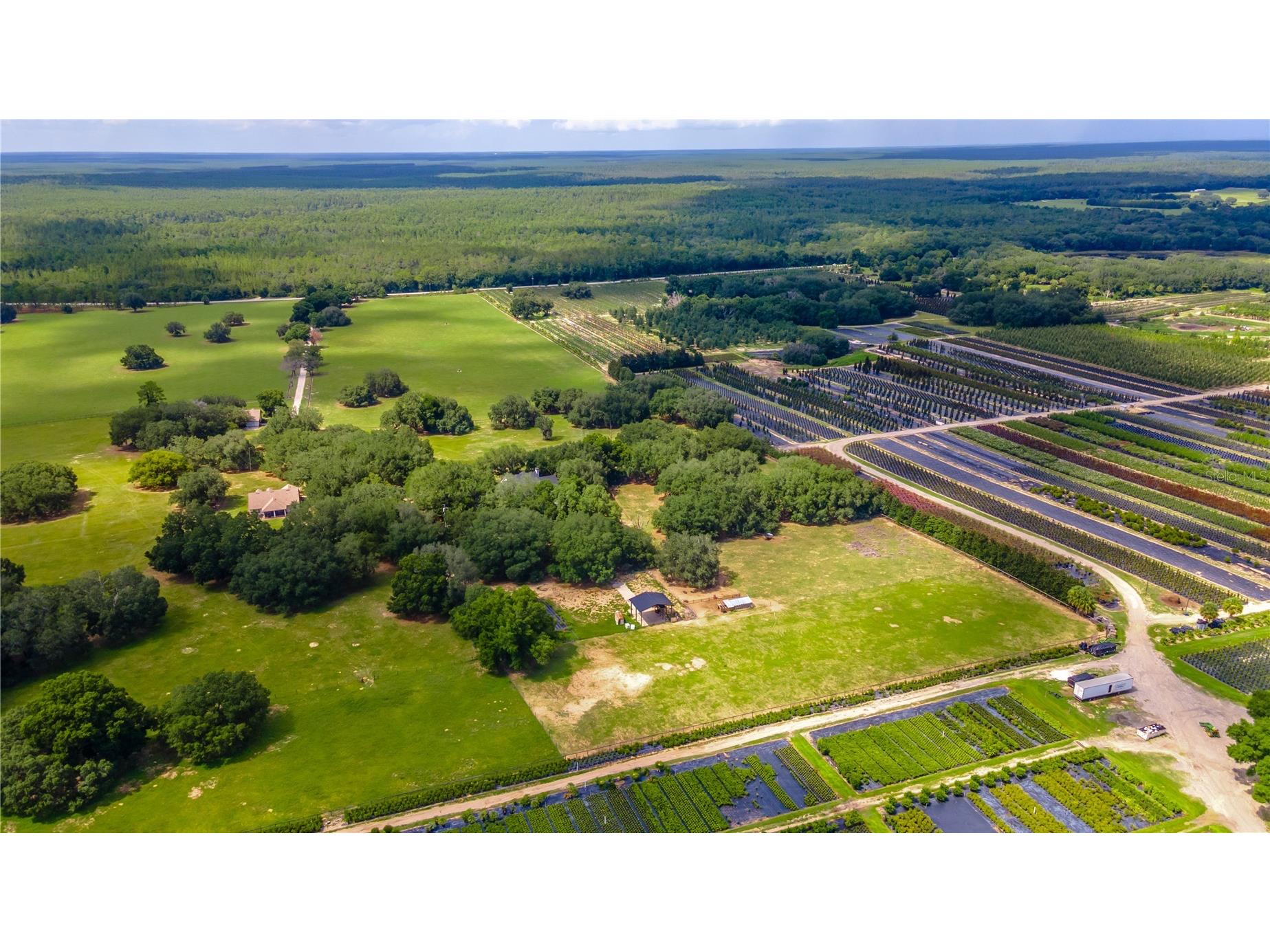 23100 SE Highway 42 Umatilla FL 32784 O6395337 image84