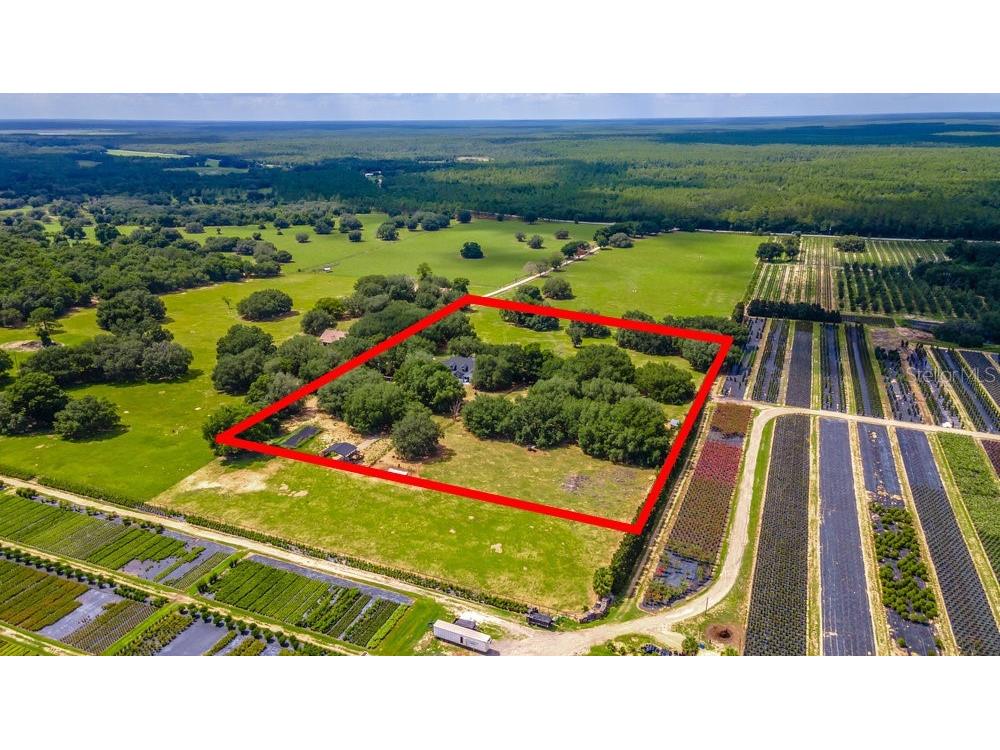 23100 SE Highway 42 Umatilla FL 32784 O6395337 image85