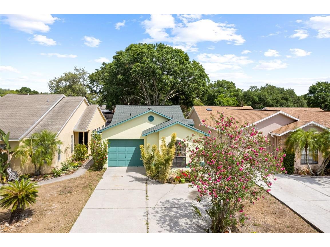 23103 Dover Drive Land O Lakes FL 34639 T3438838 image1