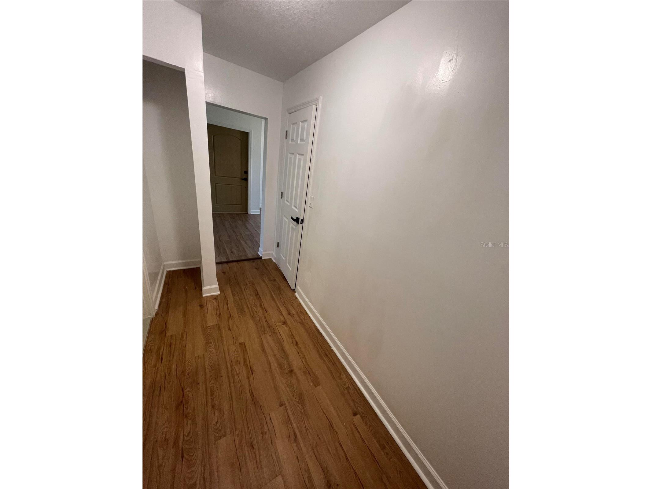23108 Dover Drive Land O Lakes FL 34639 O6410429 image10