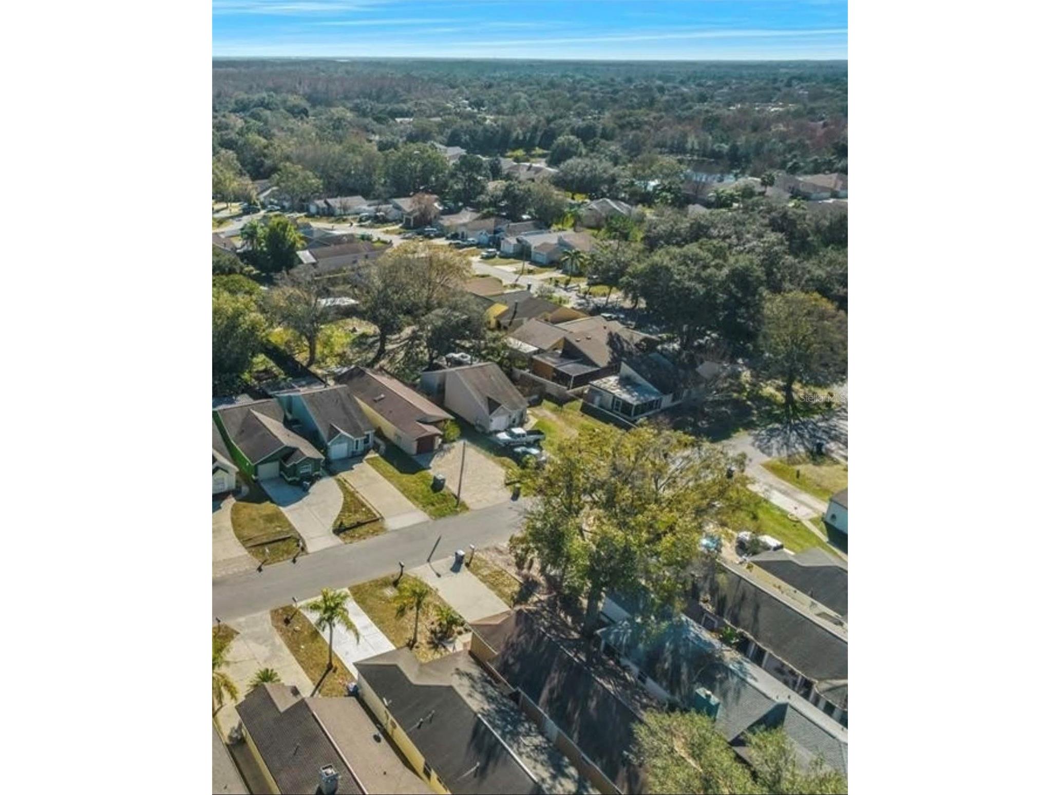 23108 Dover Drive Land O Lakes FL 34639 O6410429 image17