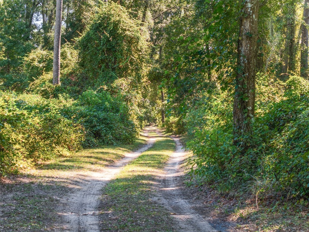 23109 NW 227th Drive High Springs FL 32643 GC534080 image72