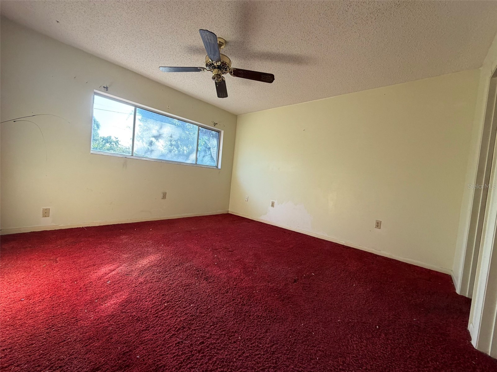 2311 15th Street W Palmetto FL 34221 A4679921 image37
