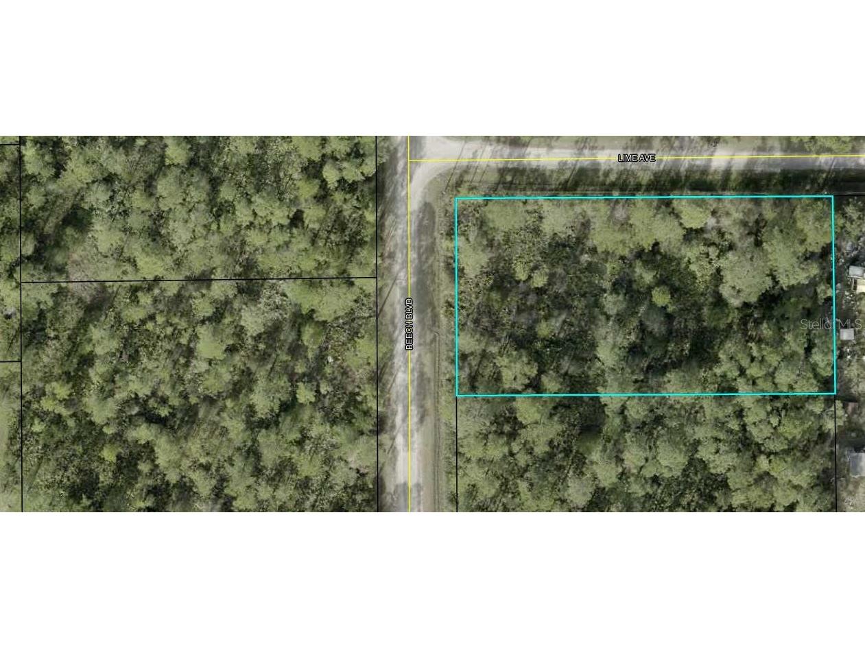 2311 Beech Boulevard Bunnell FL 32110 FC313715 image1