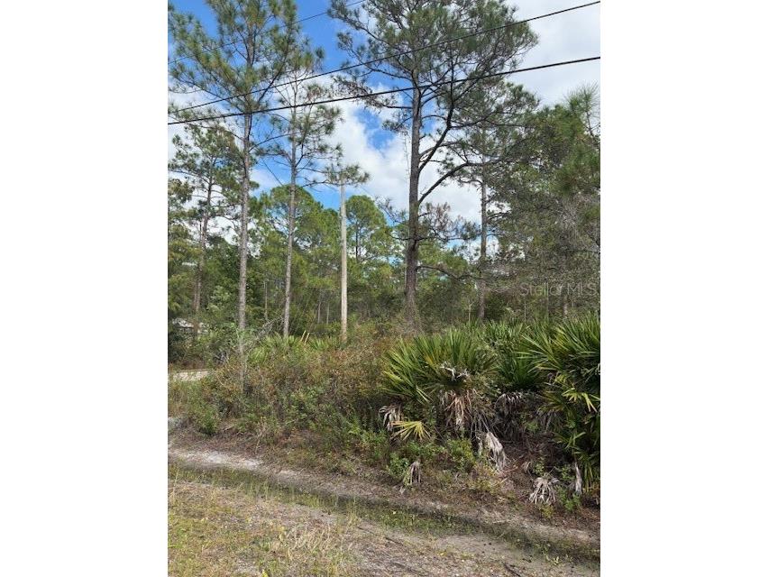 2311 Beech Boulevard Bunnell FL 32110 FC313715 image11