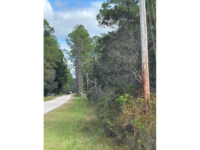 2311 Beech Boulevard Bunnell FL 32110 FC313715 image6