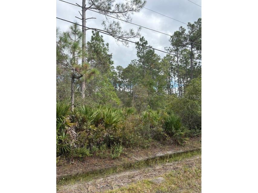 2311 Beech Boulevard Bunnell FL 32110 FC313715 image8