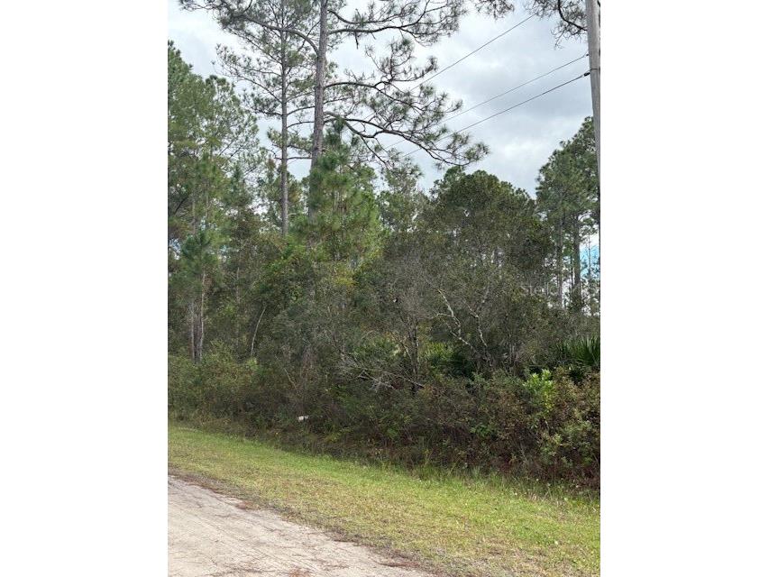 2311 Beech Boulevard Bunnell FL 32110 FC313715 image9