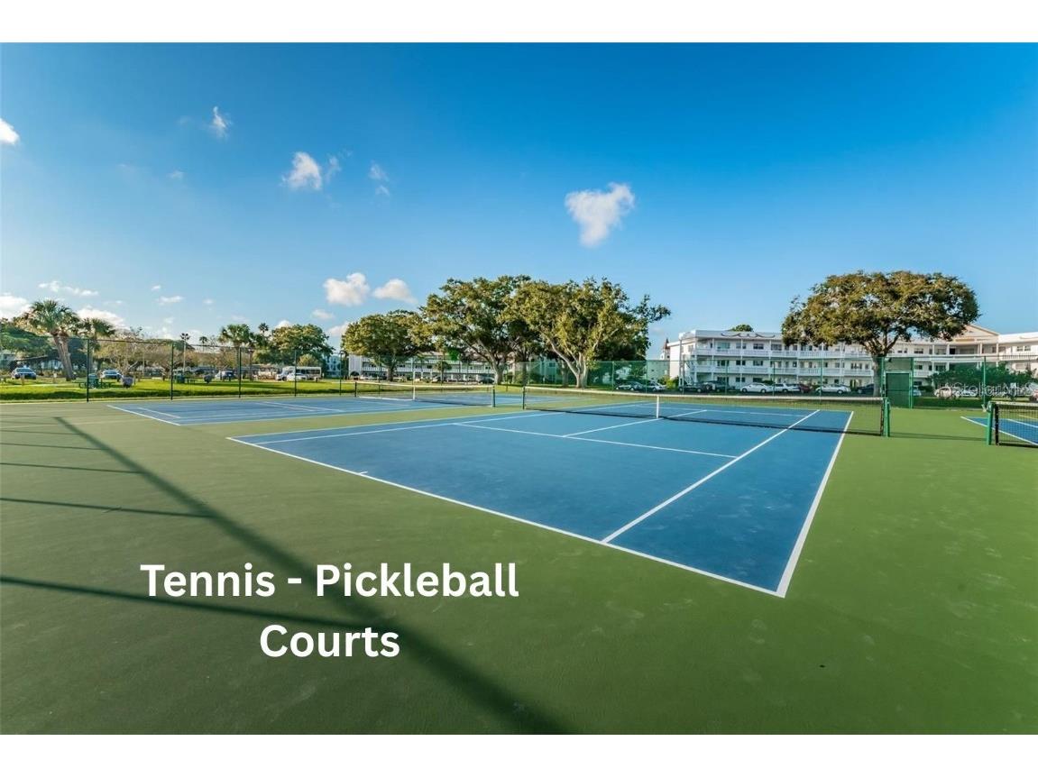 2311 Brisbane Street #65 Clearwater FL 33763 TB8440933 image11