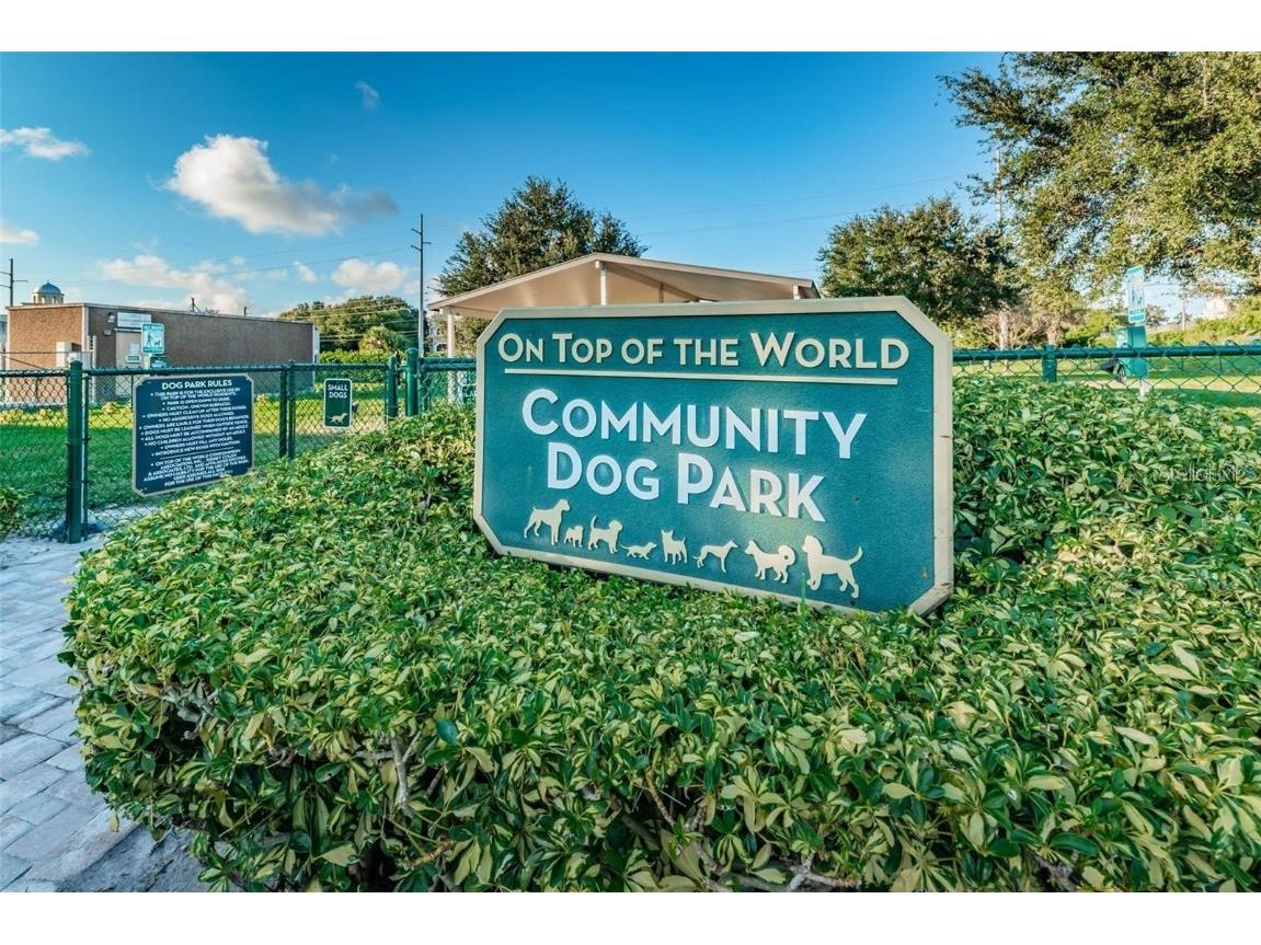 2311 Brisbane Street #65 Clearwater FL 33763 TB8440933 image13