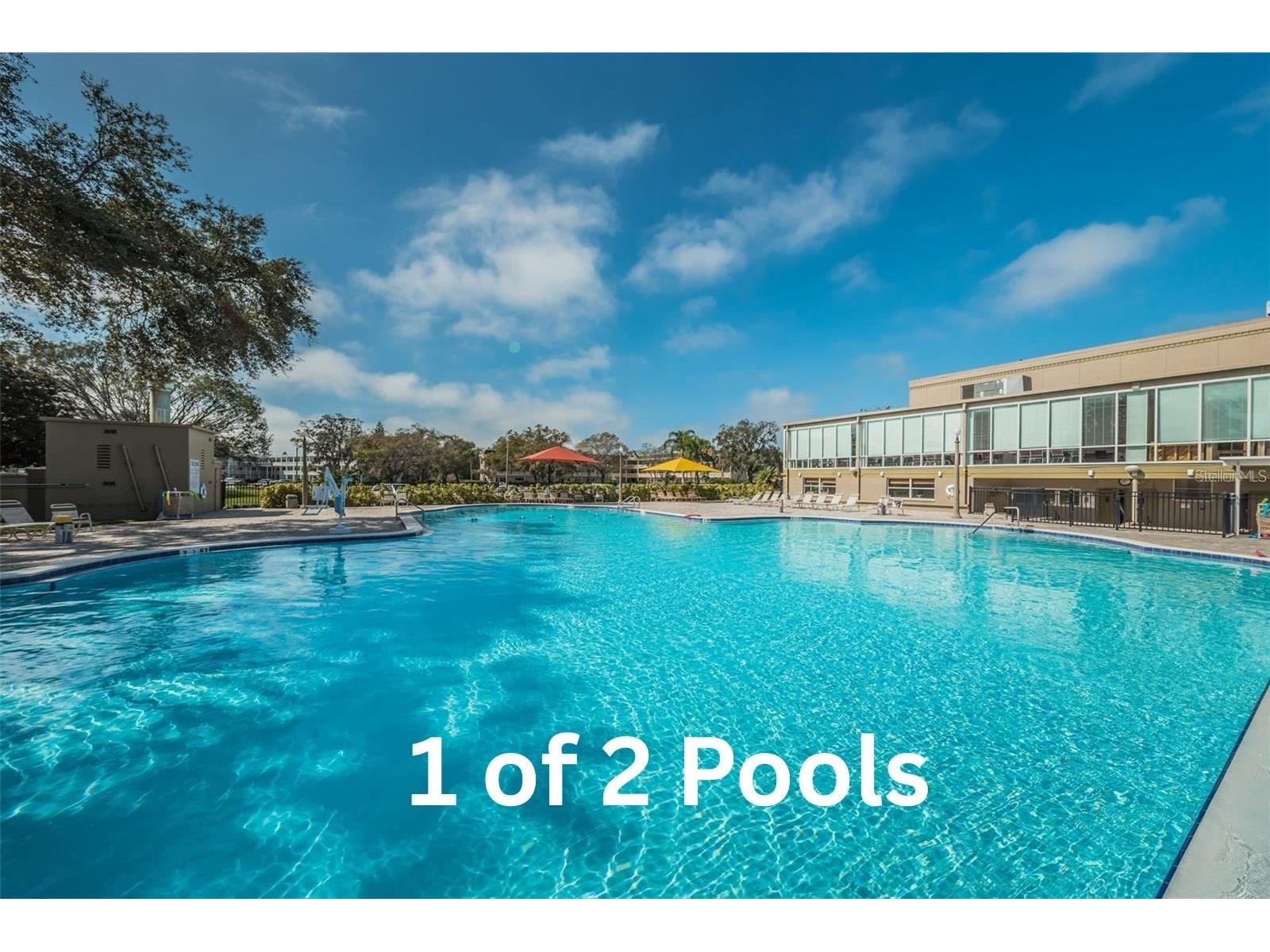 2311 Brisbane Street #65 Clearwater FL 33763 TB8440933 image26