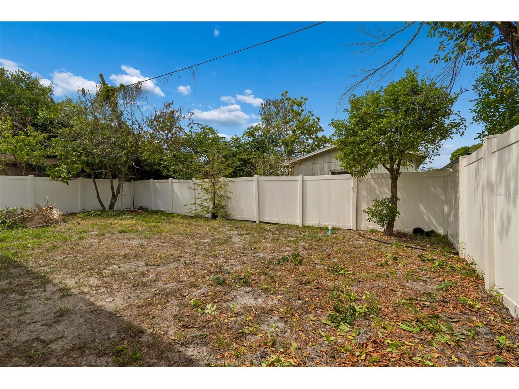 2311 W Aileen Street Tampa FL 33607 TB8501169 image31