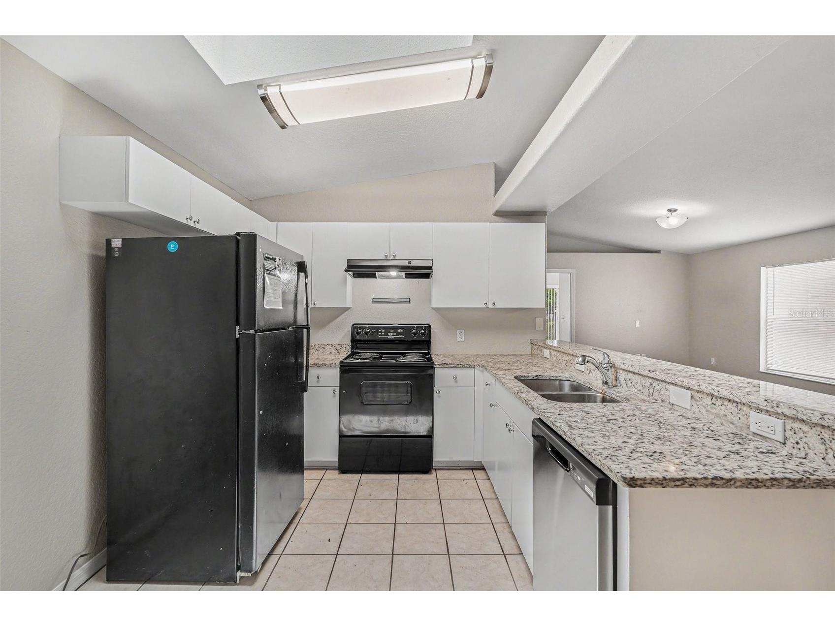 23110 Dover Drive Land O Lakes FL 34639 O6417248 image5