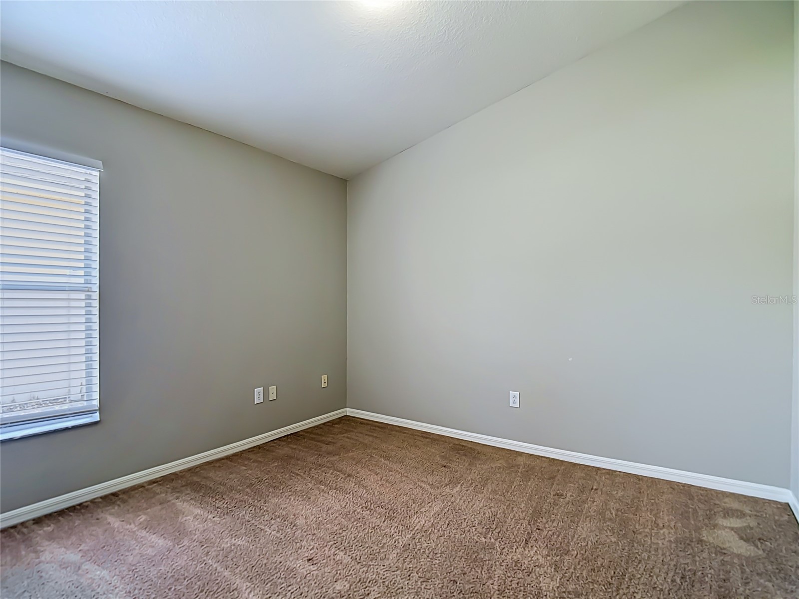 23113 Emerson Way Land O Lakes FL 34639 TB8496513 image51