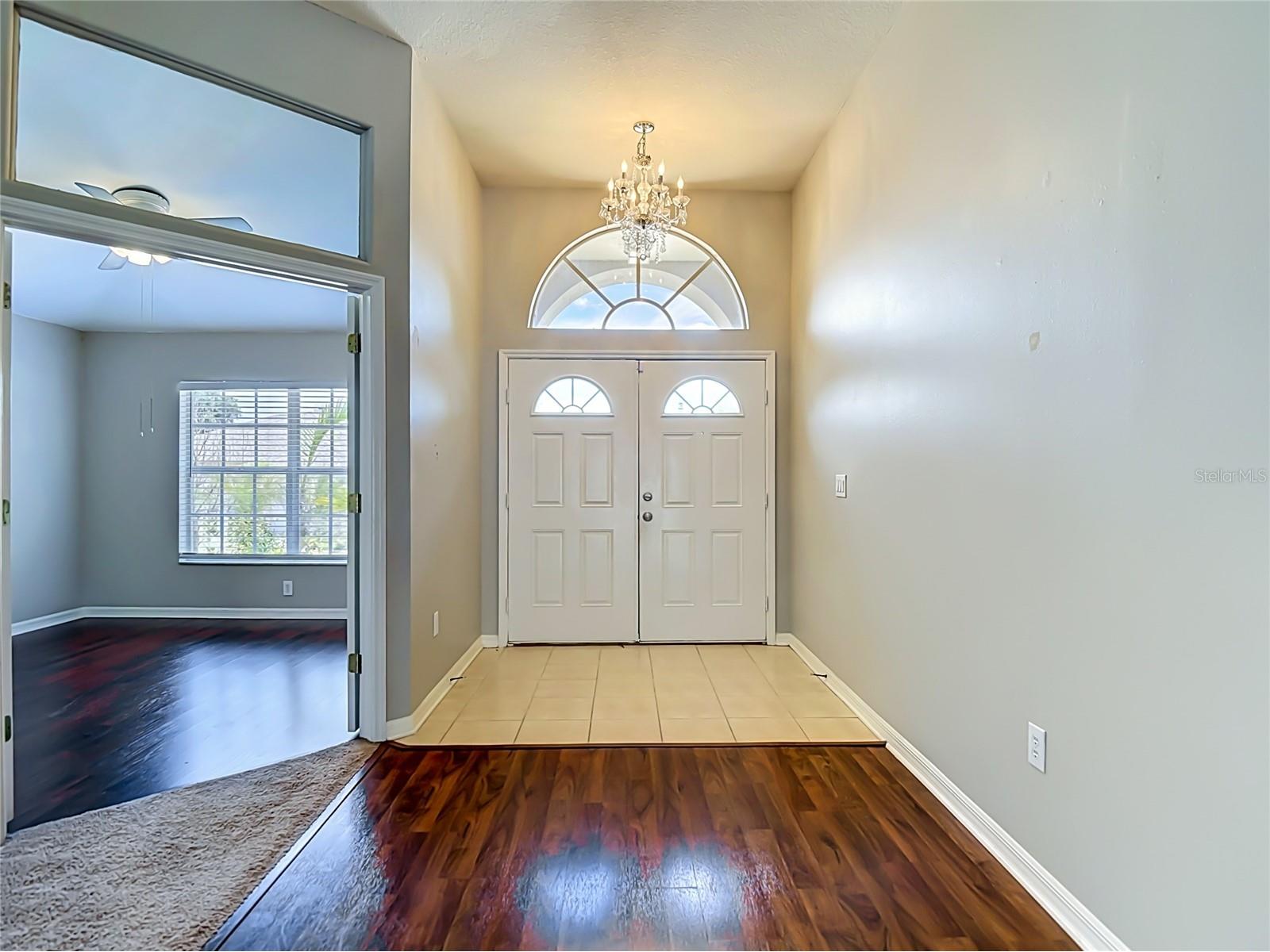 23113 Emerson Way Land O Lakes FL 34639 TB8496513 image6