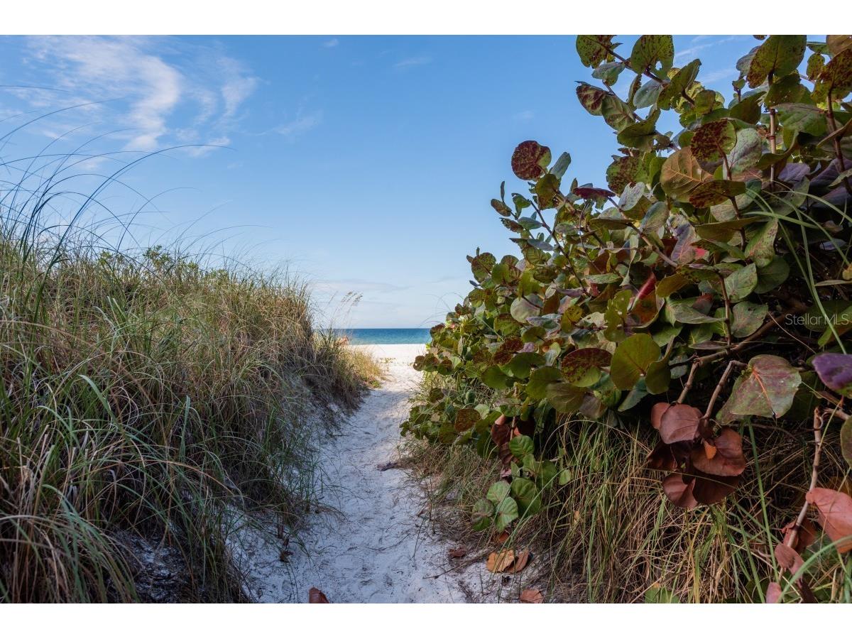 2312 Gulf Drive N #103 Bradenton Beach FL 34217 A4685249 image22