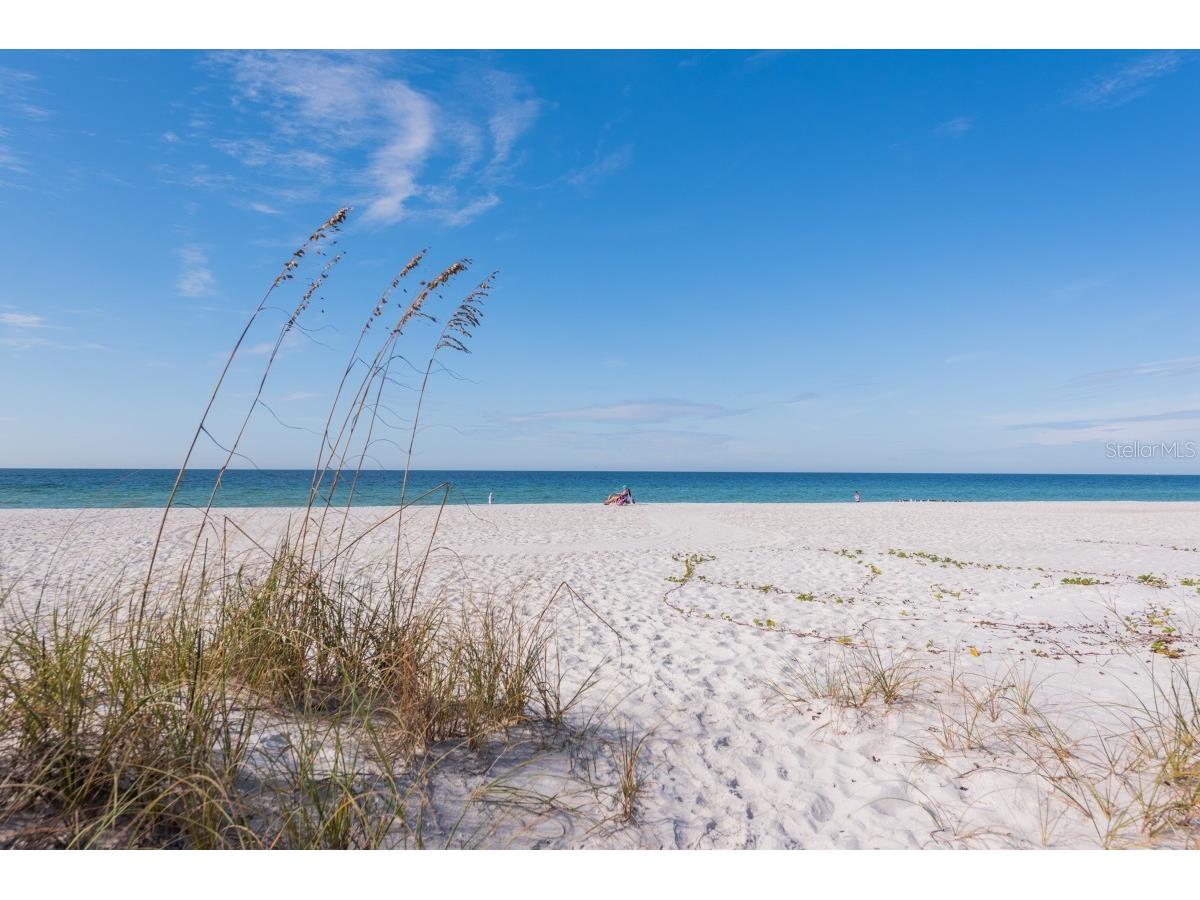 2312 Gulf Drive N #103 Bradenton Beach FL 34217 A4685249 image23