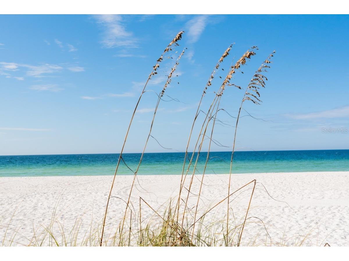 2312 Gulf Drive N #103 Bradenton Beach FL 34217 A4685249 image24