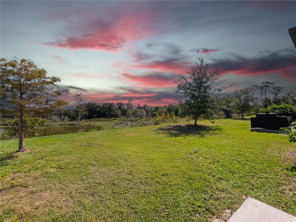 2312 Litchfield Loop Deland FL 32720 O6347356 image24