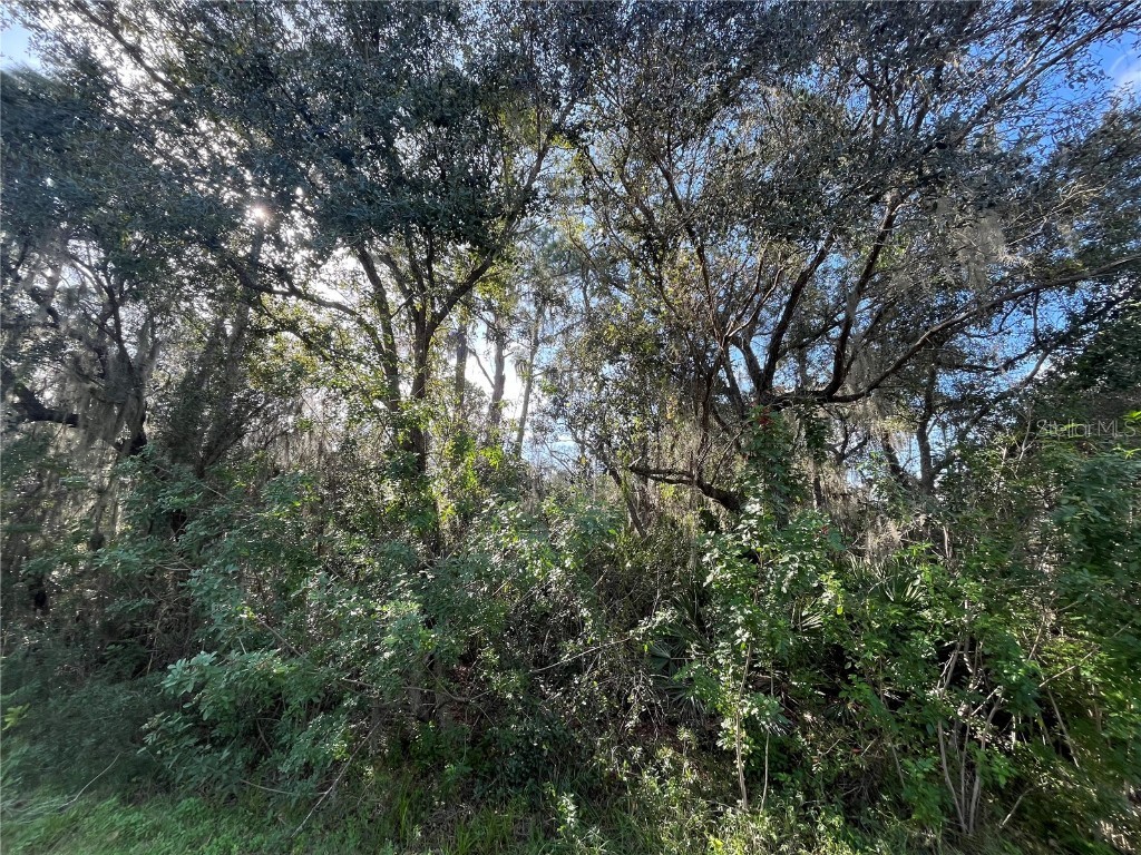 2312 Mink Road Avon Park FL 33825 OK223500 image1