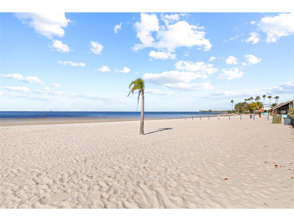 2312 W Shell Point Road Ruskin FL 33570 - LITTLE MANATEE TAMPA BAYGULF TB8328349 image32