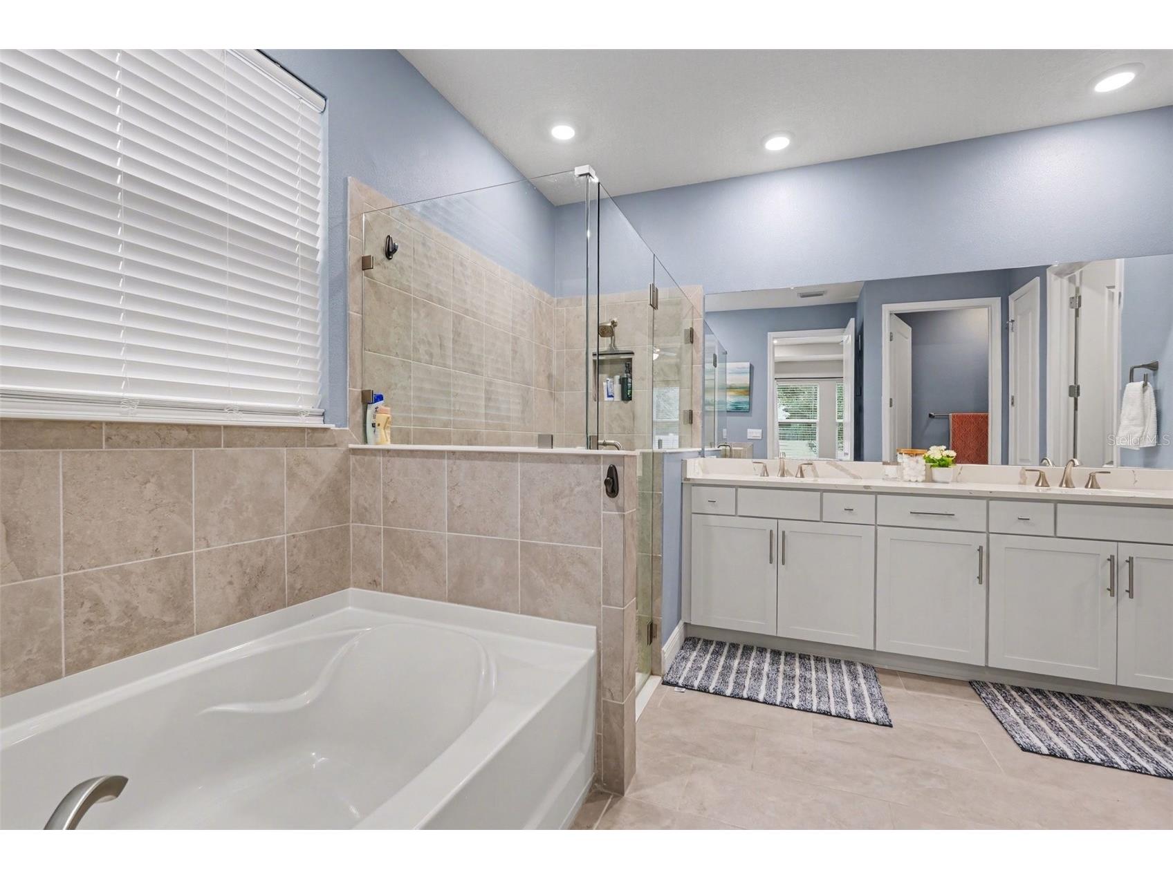 23122 Scaglione Drive Lutz FL 33549 TB8482962 image21