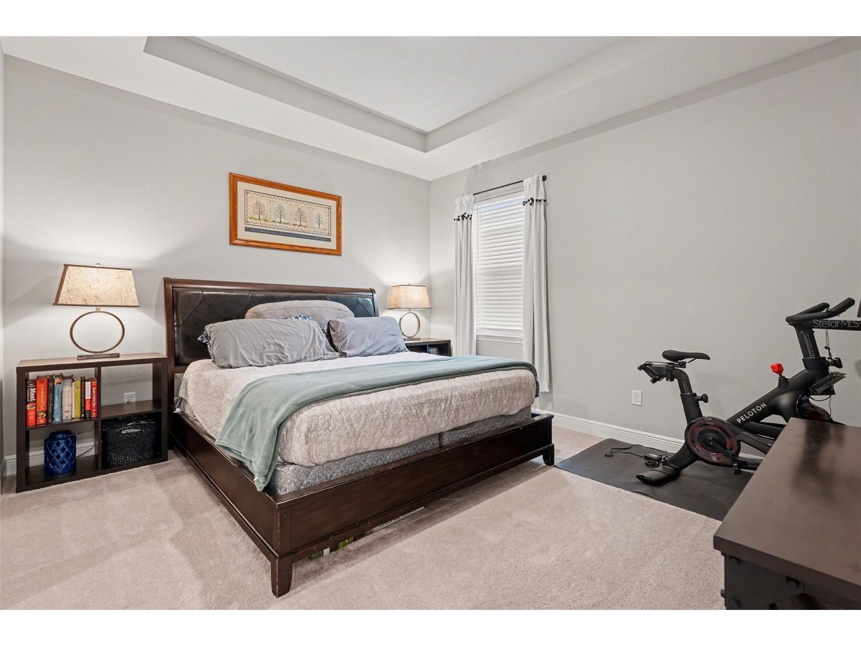 23122 Scaglione Drive Lutz FL 33549 TB8482962 image24