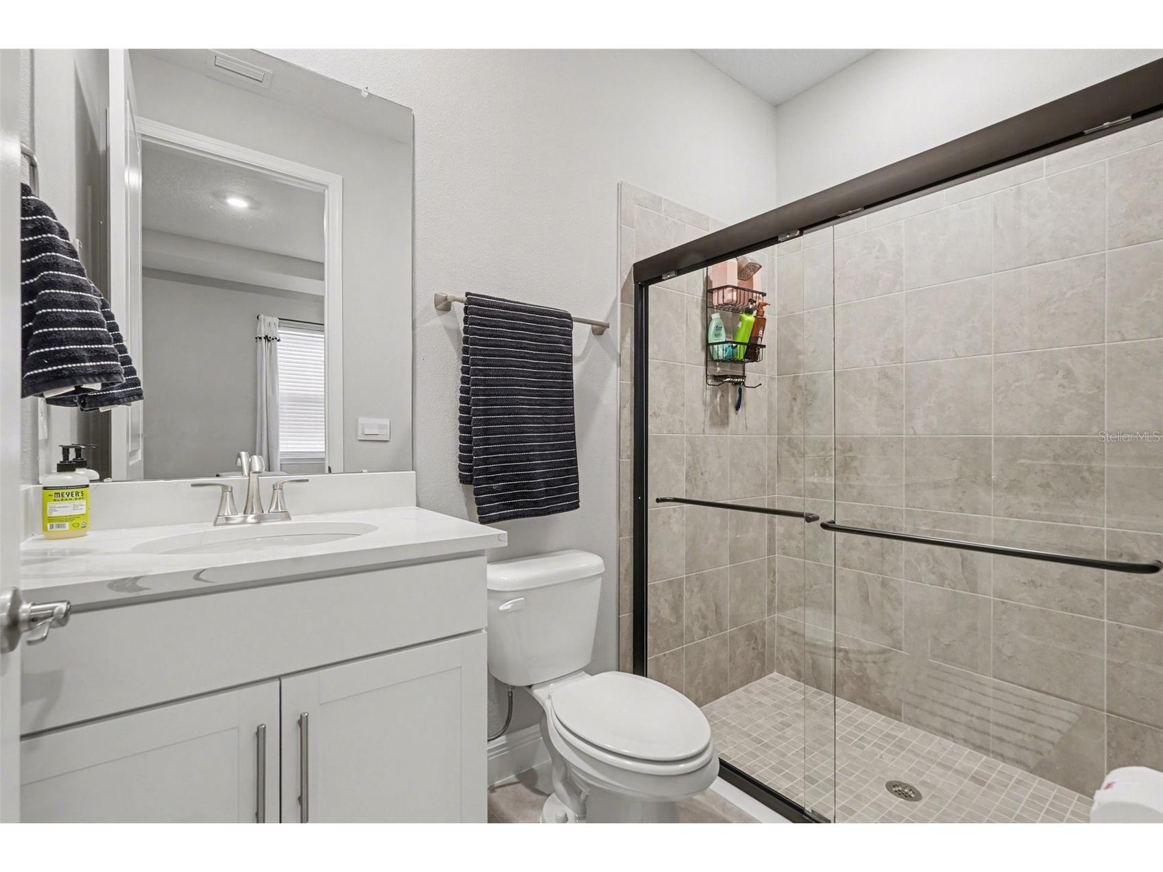 23122 Scaglione Drive Lutz FL 33549 TB8482962 image25