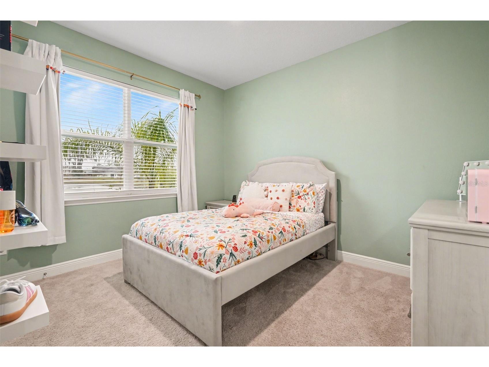 23122 Scaglione Drive Lutz FL 33549 TB8482962 image30