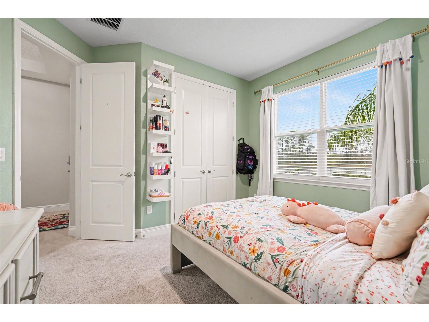 23122 Scaglione Drive Lutz FL 33549 TB8482962 image31