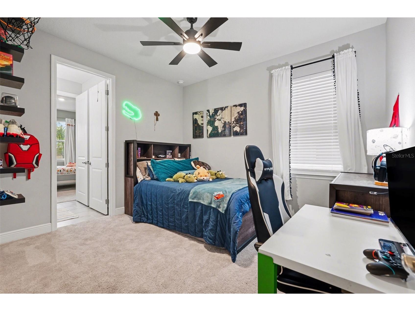 23122 Scaglione Drive Lutz FL 33549 TB8482962 image33