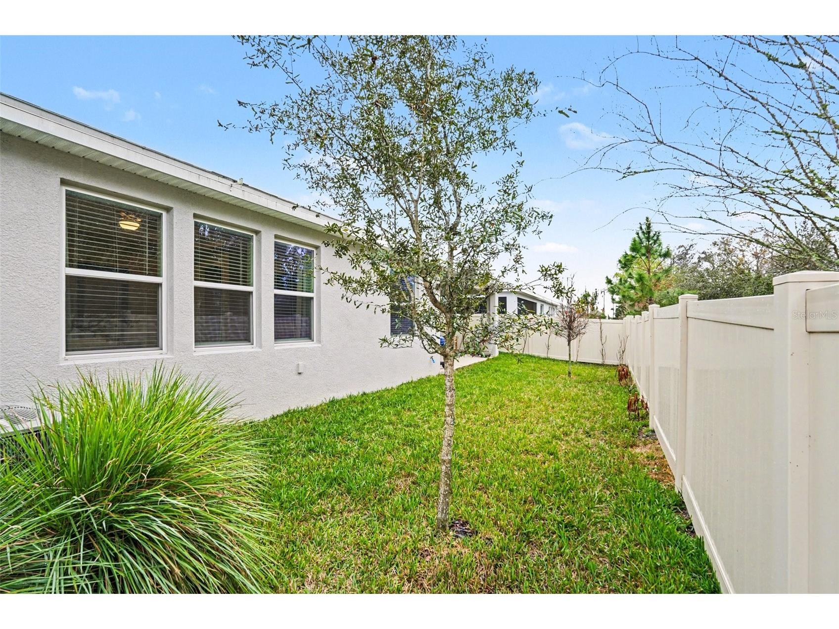 23122 Scaglione Drive Lutz FL 33549 TB8482962 image38
