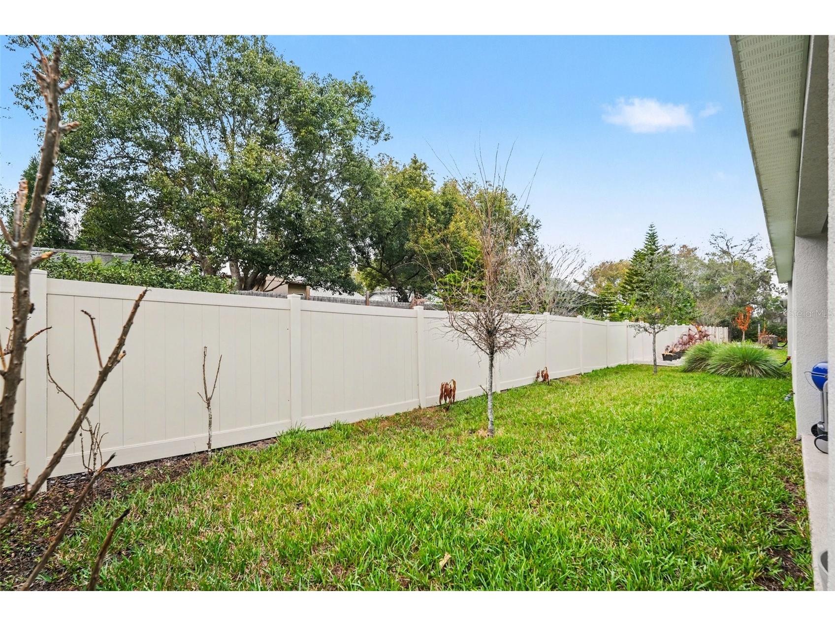 23122 Scaglione Drive Lutz FL 33549 TB8482962 image39