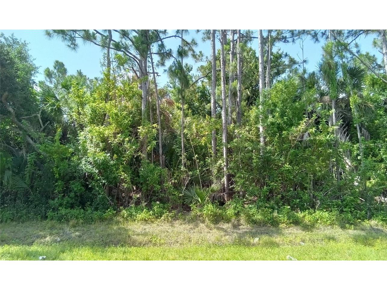 23125 Hammond Avenue Port Charlotte FL 33954 OM681035 image1