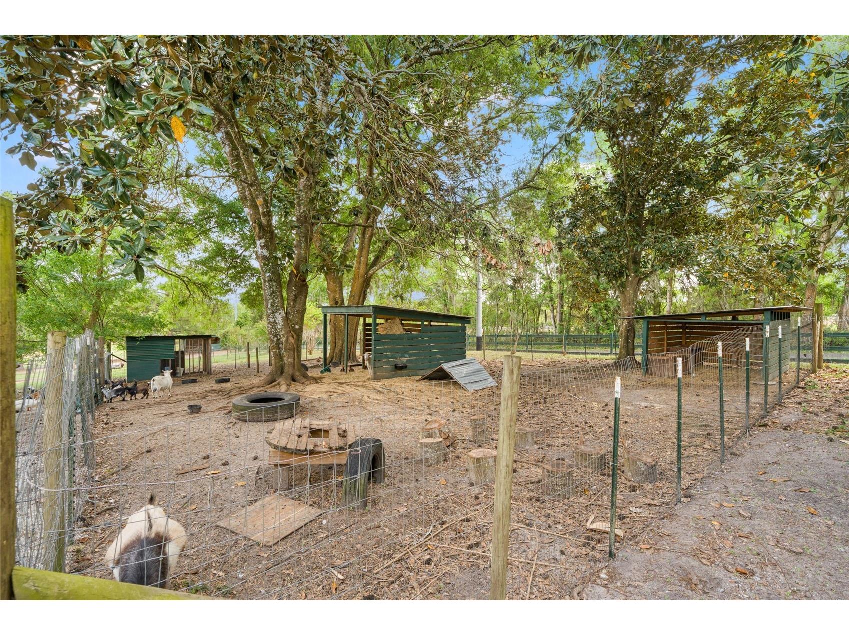 23125 Jacobson Road Brooksville FL 34601 TB8493240 image54