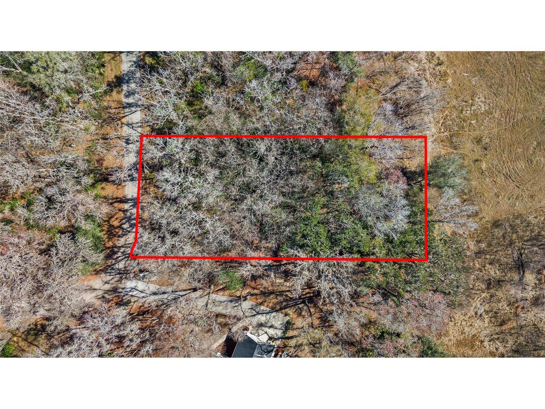 23126 Fitzhugh Avenue Brooksville FL 34601 TB8474515 image1