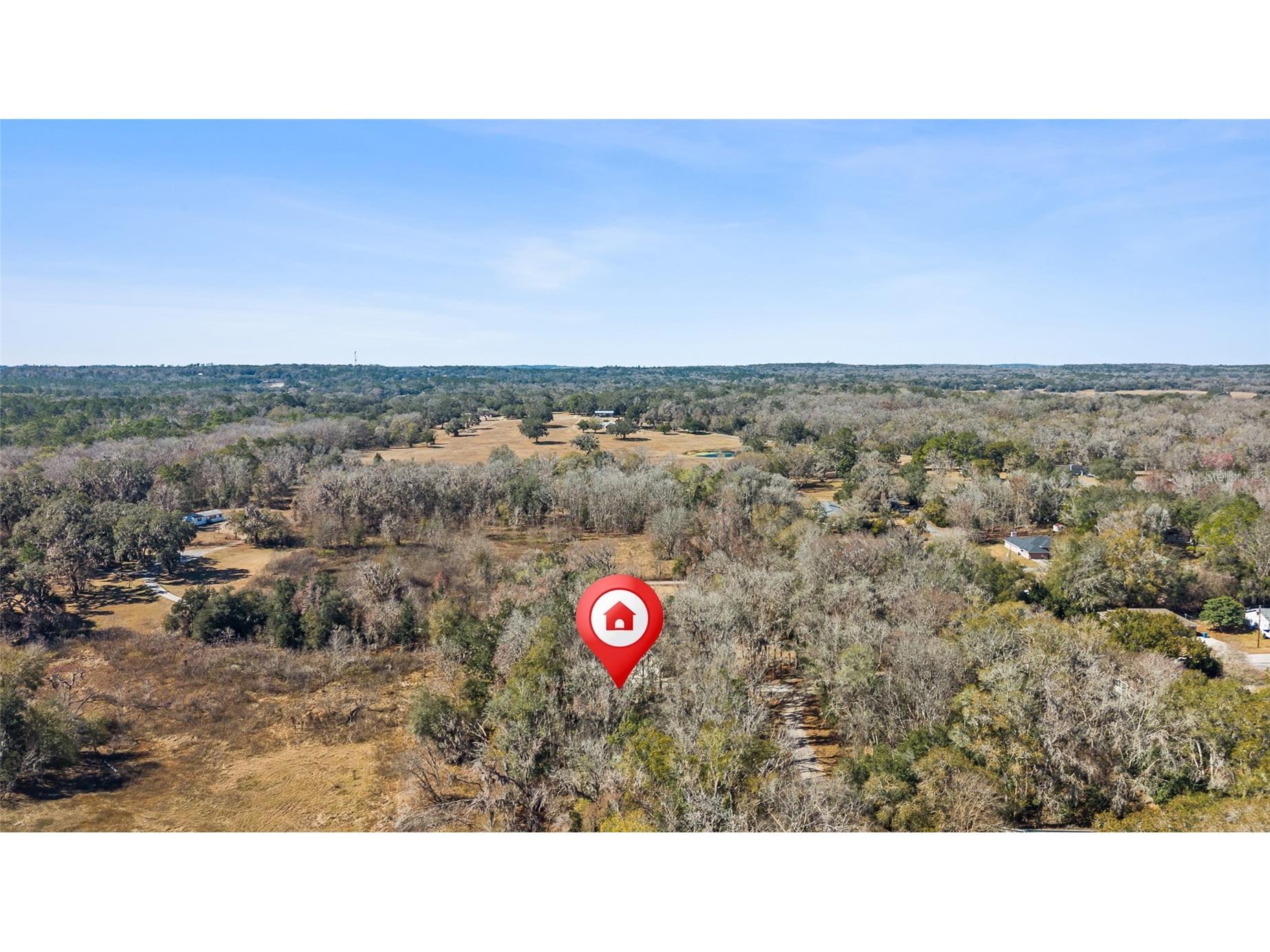 23126 Fitzhugh Avenue Brooksville FL 34601 TB8474515 image10