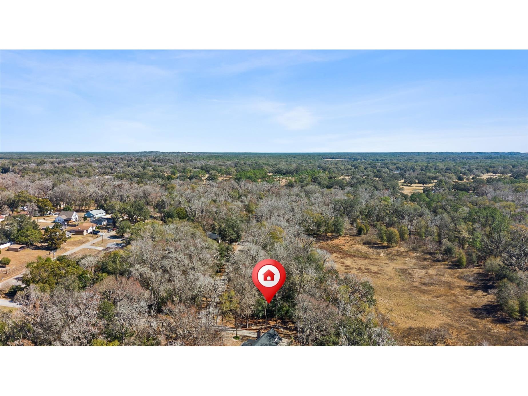 23126 Fitzhugh Avenue Brooksville FL 34601 TB8474515 image12