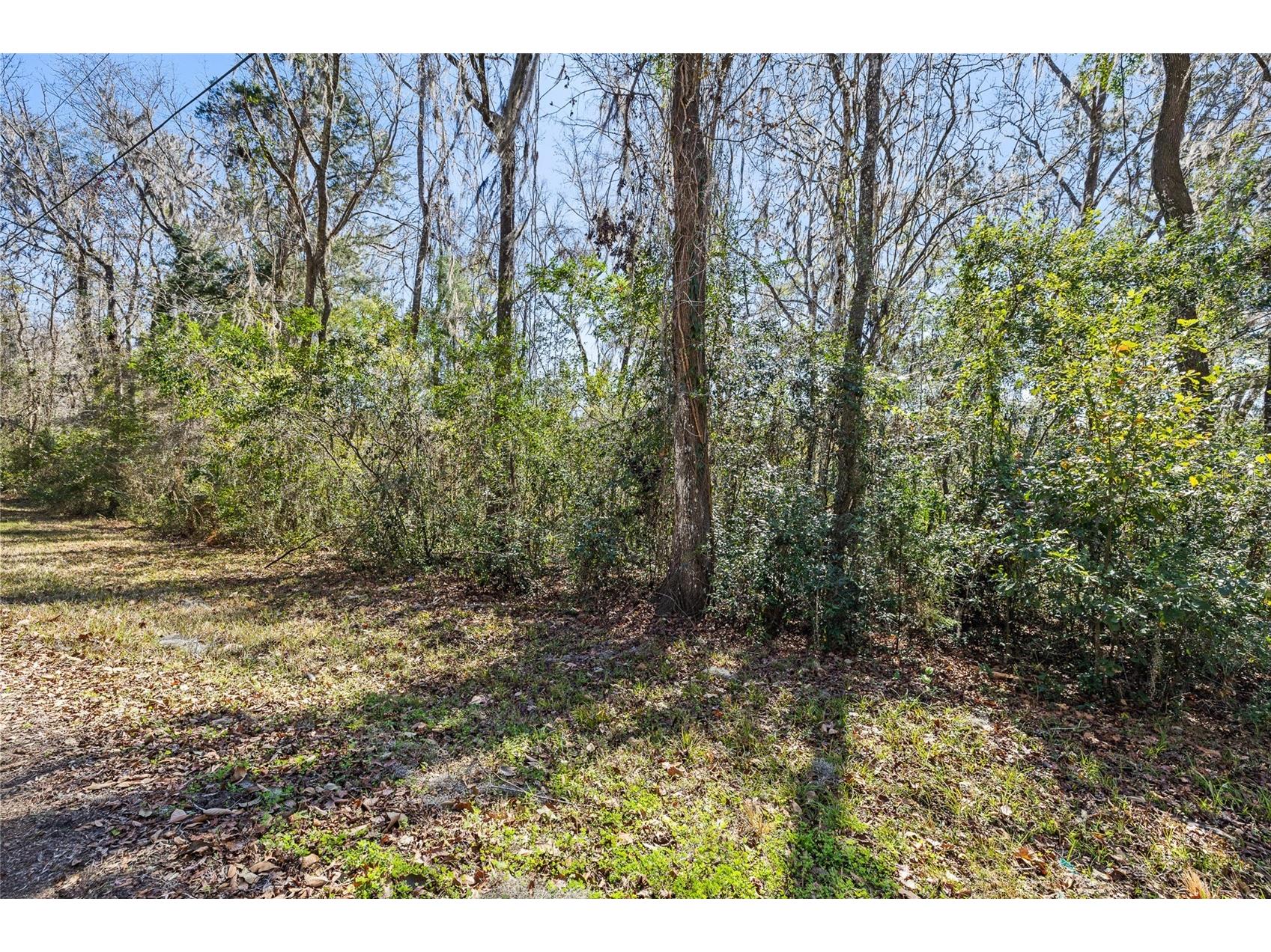23126 Fitzhugh Avenue Brooksville FL 34601 TB8474515 image2
