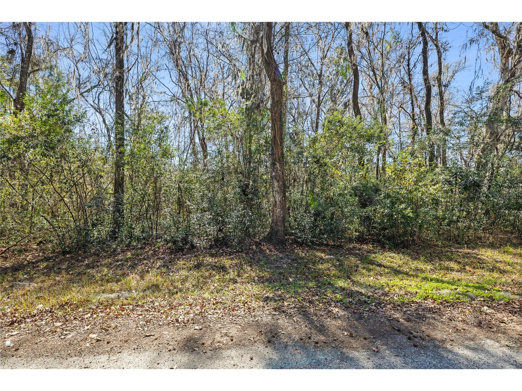 23126 Fitzhugh Avenue Brooksville FL 34601 TB8474515 image3
