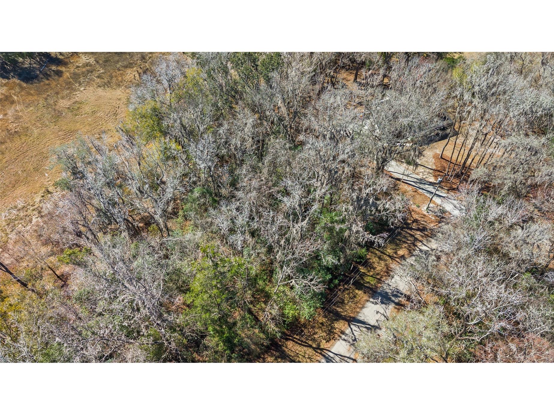 23126 Fitzhugh Avenue Brooksville FL 34601 TB8474515 image6