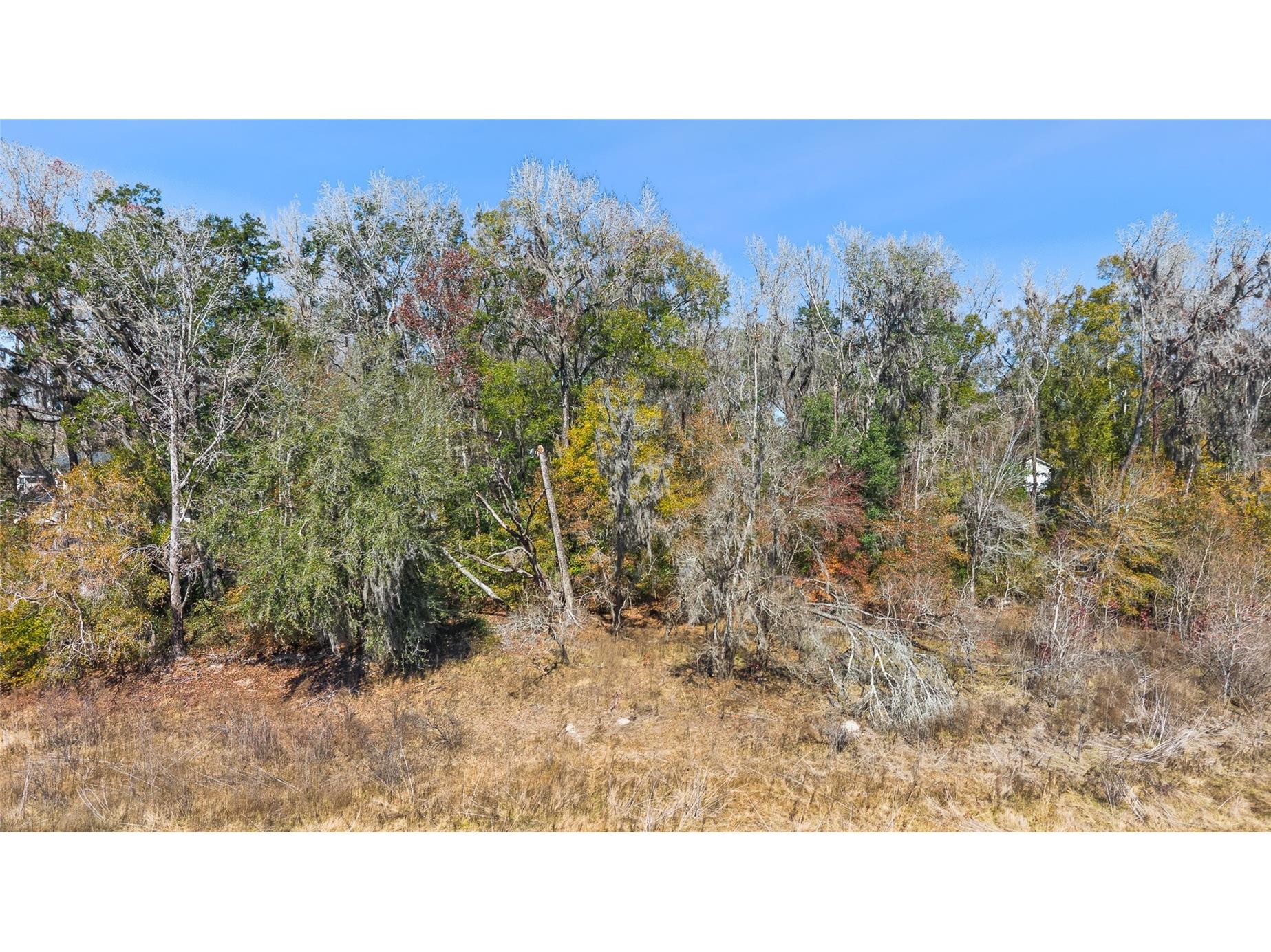 23126 Fitzhugh Avenue Brooksville FL 34601 TB8474515 image7