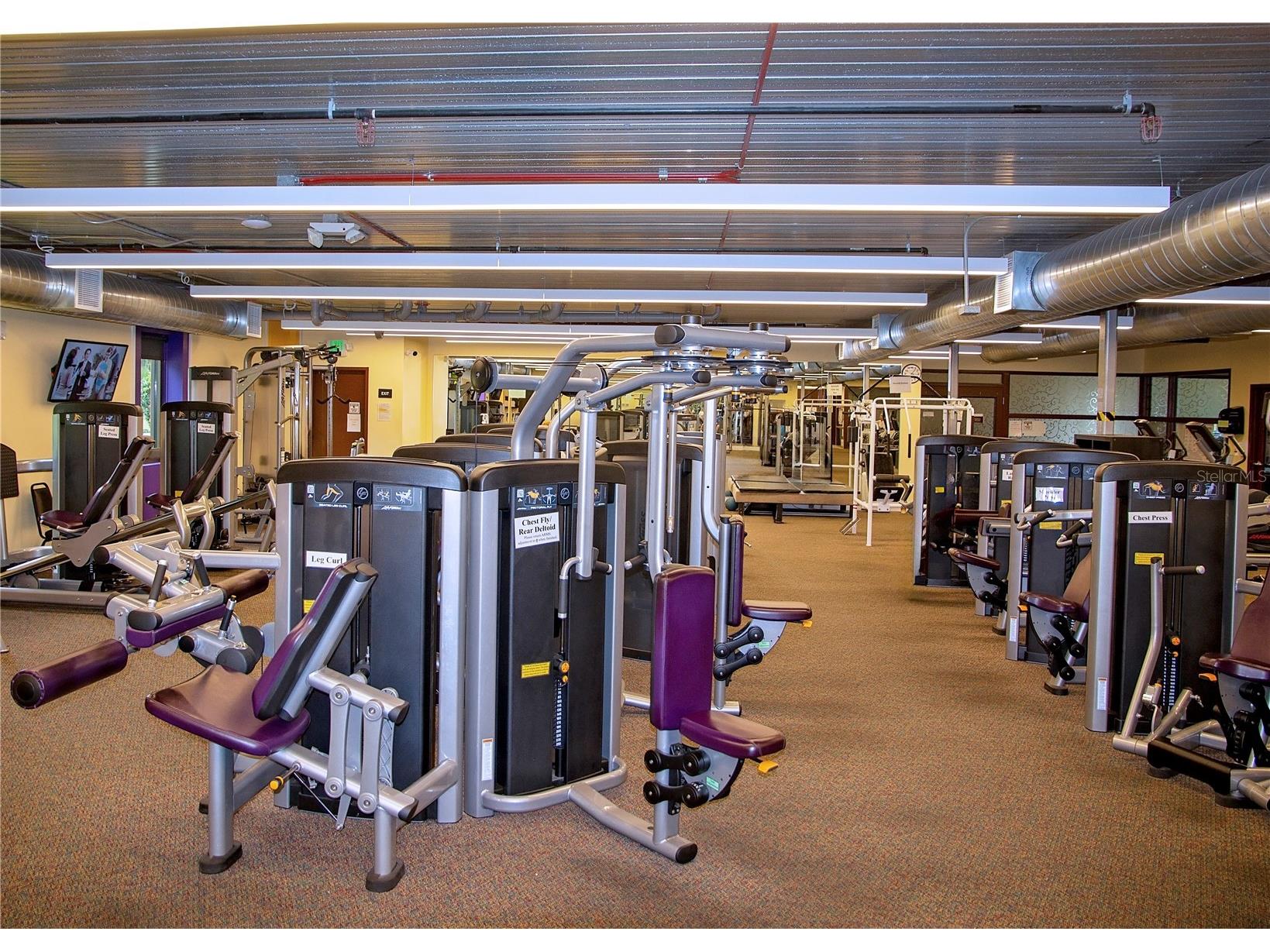 2313 Brookfield Greens Circle Sun City Center FL 33573 TB8491332 image57