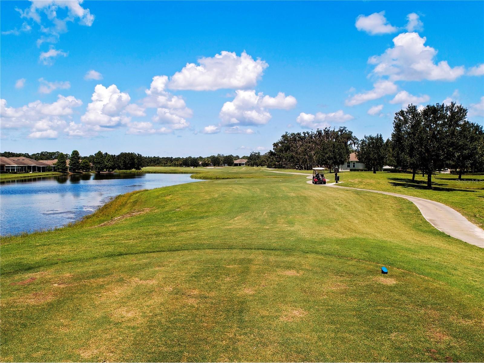 2313 Brookfield Greens Circle Sun City Center FL 33573 TB8491332 image58