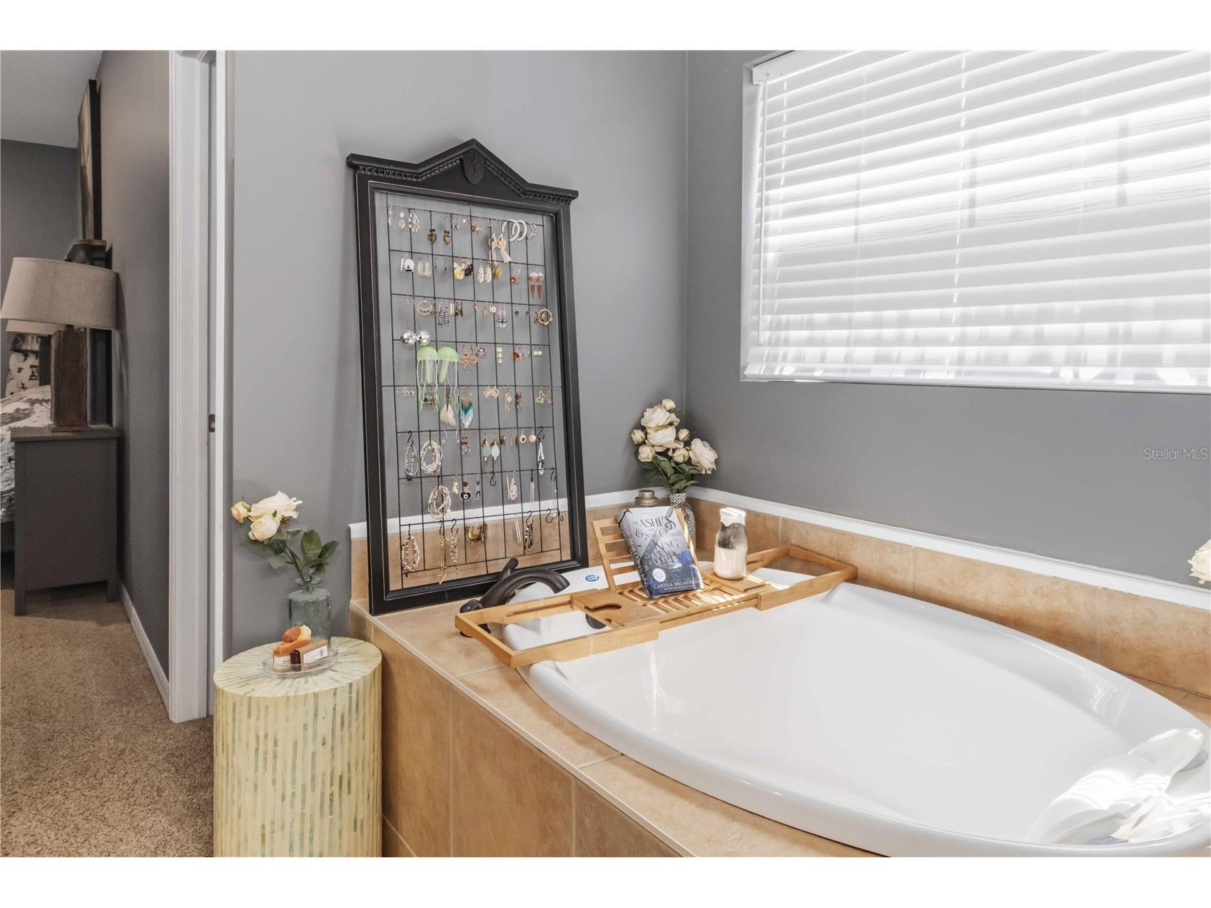 2313 Holden Lane Lithia FL 33547 TB8506723 image18