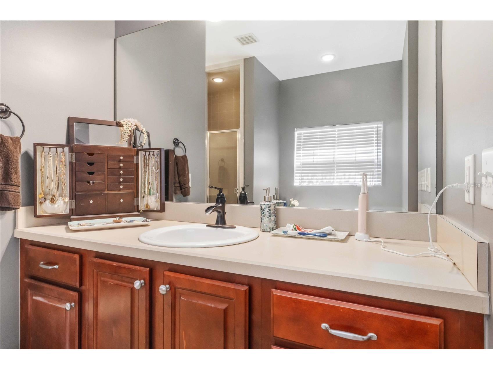 2313 Holden Lane Lithia FL 33547 TB8506723 image21