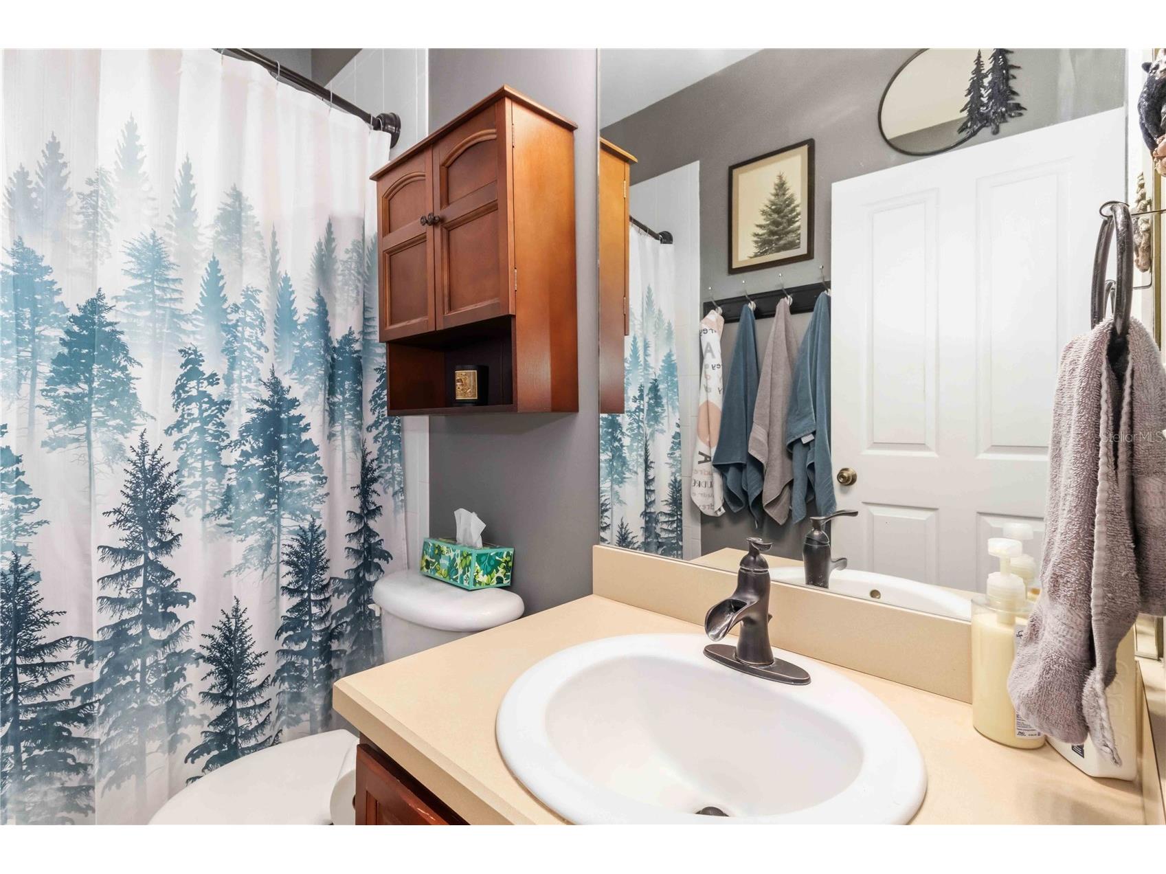 2313 Holden Lane Lithia FL 33547 TB8506723 image29